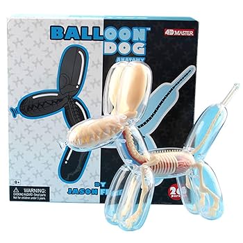 4DMASTER Balloon Dog Anatomy バルーンドッグ Amazon.com: Balloon Dog Bone Perspective Anatomical Model
